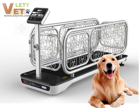 Automatic Veterianry treadmill walking running machine for pet