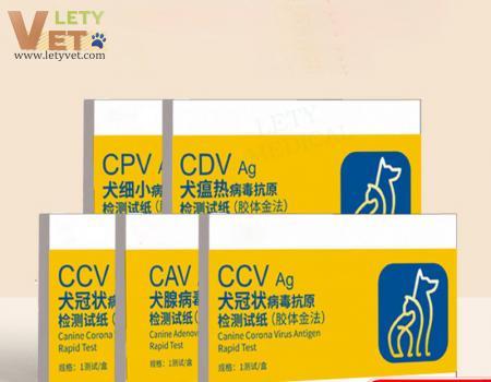 Best Selling Canidae Virus Antigen Test Strip