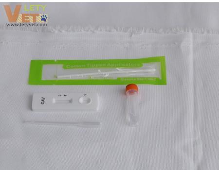 CAV Ag Canine Infectious Hepatitis Antigen Test for veterinary clinic Rapid Test Kit