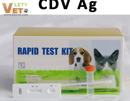 CDV Ag Canine Distemper Virus Antigen Test