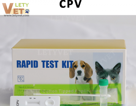 CPV Ag Canine Parvo Virus Antigen Test