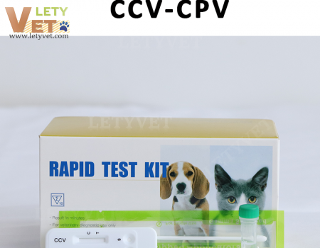 CPV CCV Canine Parvo Corona Ag Combo Test for veterinary clinic test