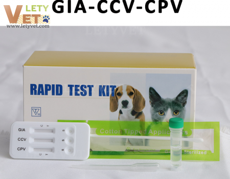 CPV CCV Giardia Combo Test Canine Parvo Corona Ag Combo Test for veterinary clinic test