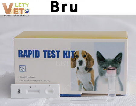 Canine Brucella Antibody Test for veterinary clinic pet disease test