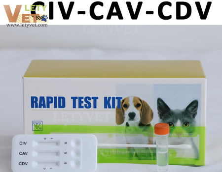 Canine Distemper Adeno Influenza Combo Test for veterinary clinic test