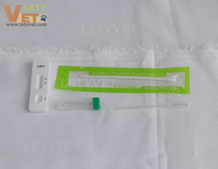 Canine Parvovirus Antibody Test Veterinary Rapid Test kits