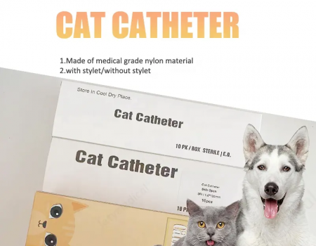 Cat Catheter with Stylet