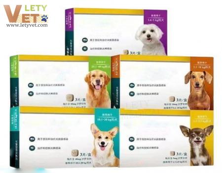 Deworming for Pet Dogs External Deworming for Dogs