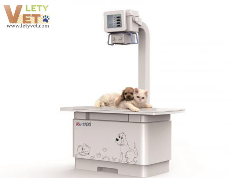 Dgital Veterinary xray unit