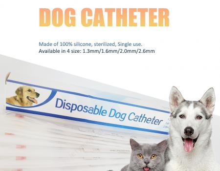 Disposable Dog Catheter