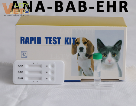 EHR BAB ANA Ehrlichia Babesia Anaplasma Combo Test 