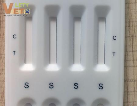 EHR LYM ANA CHW Ehrlichia Lyme Anaplasma Heartorm Combo Test