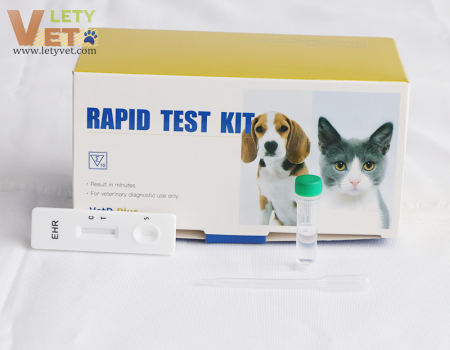 Ehrlichia Antibody Test for vet clinic test EHR for vet clinic test