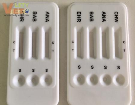 Ehrlichia Babesia Anaplasma Heartorm Combo Test