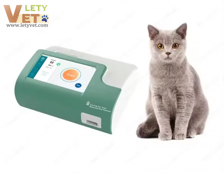 FCV Ab cat calicivirus antibody rapid detection kit