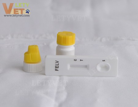 FELV Ag Feline Leukemia Virus Antigen Test