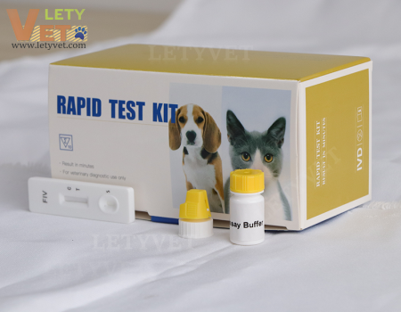 FIV Ab Feline Immuno deficiency Virus Antibody Test Veterinary Rapid Test kits