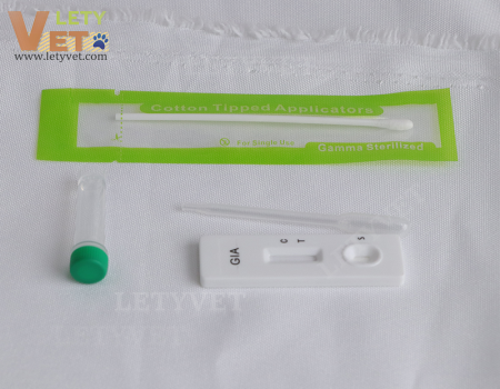 Giardia Ag Canine Giardia Antigen Test 