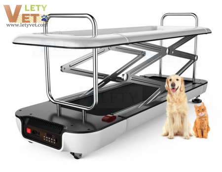 Home use and Vet training center Veterinary walking Treadmill 