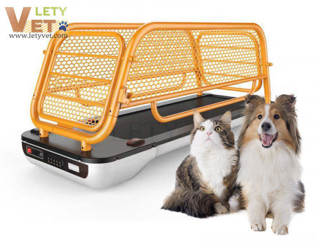 LED display Veterinary walking Treadmill