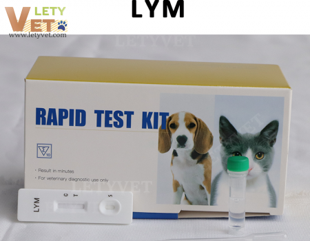 Lyme Disease Antibody Test for veterinary clinic test