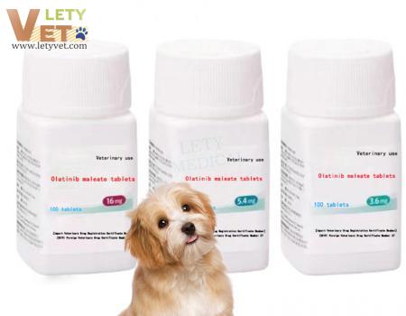 Pet Allergy Relieves Itch in Dog Dermatitis