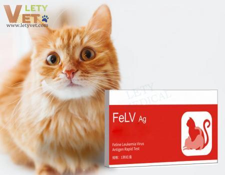 Pet Cat Antigen Test Strip Cat Plague Virus Test Card