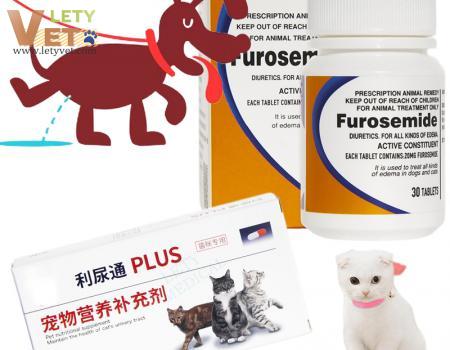 Pet Cat and Dog Quick Diaper Diuretics Furosemide Cystaid