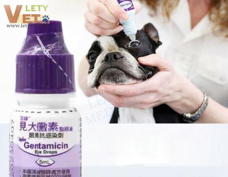 Pet Eye Drops Red Conjunctiva Clean Eyes for Cats and Dogs Gentamicin Eye Drops