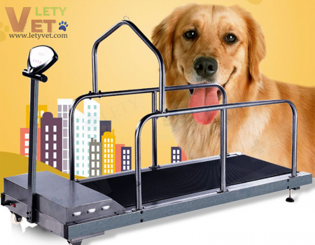 Pet Use Treadmill for animal allowable weight 80kg LTV-TC100