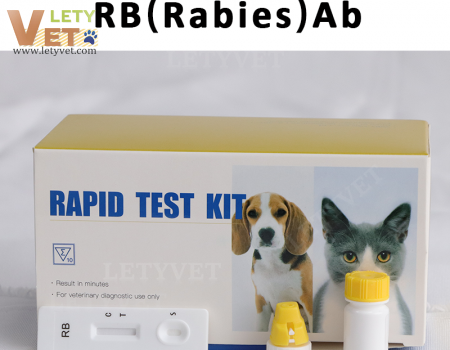 Rabies Antibody Test for veterinary clinic pet disease test