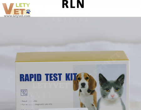 Relaxivet Pregnancy Relaxin Test for veterinary clinic test