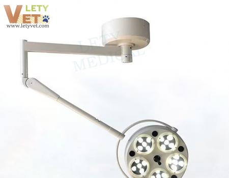 Surgical lights used in veterinary clinics