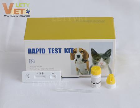 Toxo Ab Toxoplasma IgG IgM Antibody Test veterinary clinic Rapid Test Kit