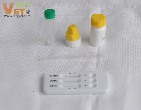 Toxoplasma IgG IgM Antibody Rapid Test vet clinic test