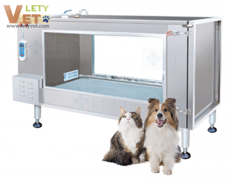 Underwater Hydrotherapy Treadmill for dog