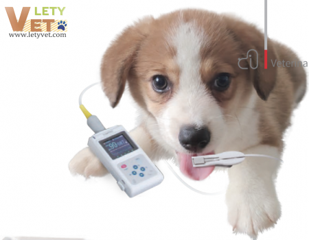 Veterianry CMS60D-VET Veterinary Pulse Oximeter