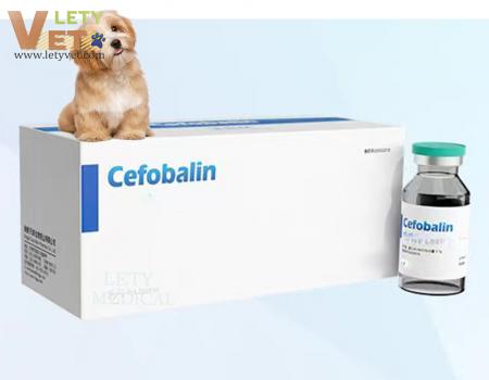 Veterinary Medicine Used to Treat Bacterial Diseases of PetVeterinary Medicine Used to Treat Bacterial Diseases of Pet