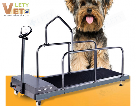 Veterinary Treadmill allowable weight 100kg LTV-TC200