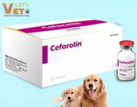 Veterinary Used for Treatment by Staphylococcus, Streptococcus, E. Coli