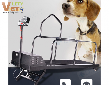 Veterinary pet use running Treadmill allowable weight 100kg LTV-TC300