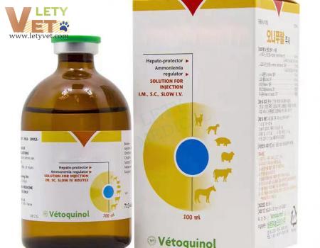 for Pets Liver Repair in Dogs and Cats